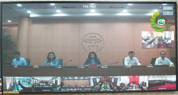 Phú Cát dự hội nghị trực tuyến triển khai công tác tuyển sinh vào các cấp học năm học 2026 – 2027- Ảnh 2.