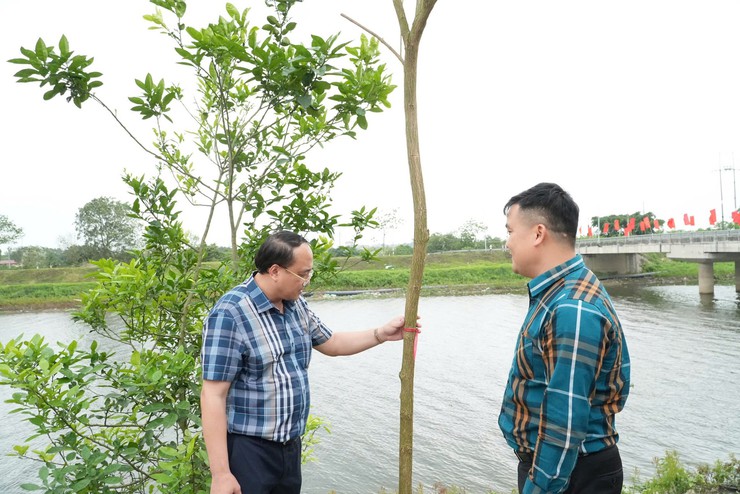 Đồng chí Chủ tịch UBND xã giao hội Phụ nữ xã chăm sóc hàng cây Phong Linh, xây dựng tuyến đường kiểu mẫu- Ảnh 4.