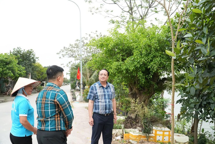 Đồng chí Chủ tịch UBND xã giao hội Phụ nữ xã chăm sóc hàng cây Phong Linh, xây dựng tuyến đường kiểu mẫu- Ảnh 5.