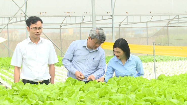 UBND xã Phúc Lộc làm việc với Sở Nông nghiệp và Môi trường về rà soát hiện trạng sản xuất rau- Ảnh 4.