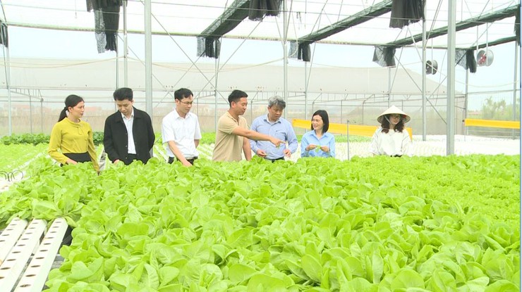 UBND xã Phúc Lộc làm việc với Sở Nông nghiệp và Môi trường về rà soát hiện trạng sản xuất rau- Ảnh 6.