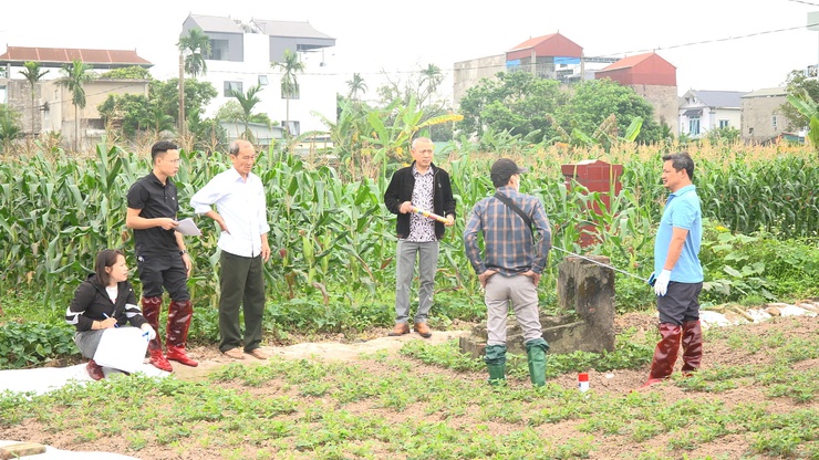 Xã Thanh Oai ra quân kiểm đếm hơn 110 ngôi mộ tại thôn Kim Lâm- Ảnh 3.