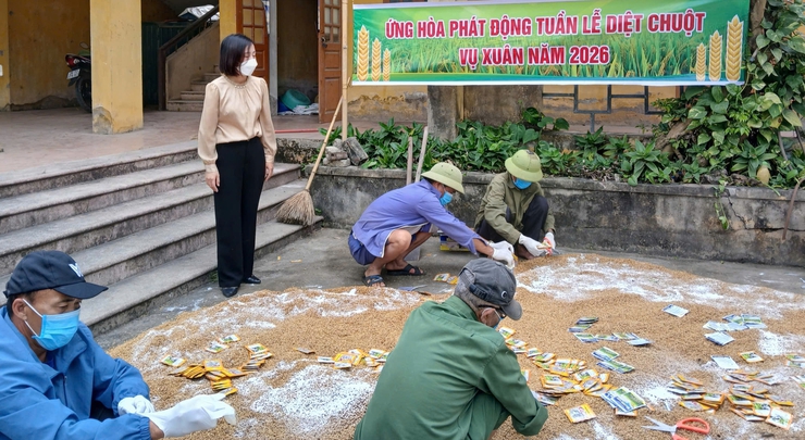 ỨNG HÒA PHÁT ĐỘNG “TUẦN LỄ DIỆT CHUỘT VỤ XUÂN NĂM 2026”.- Ảnh 1.