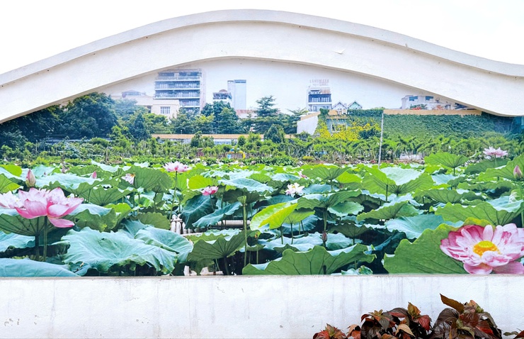Thanh Liệt tập trung phát huy giá trị Công viên Chu Văn An không gian văn hoá, giáo dục giữa lòng đô thị- Ảnh 10.
