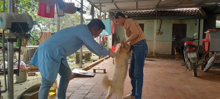 Chủ động kiểm soát dịch bệnh- Từ 2/3 Hòa Lạc tiêm phòng dại diện rộng cho đàn chó, mèo tại thôn 6 và thôn 8- Ảnh 2.
