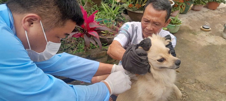 Chủ động kiểm soát dịch bệnh- Từ 2/3 Hòa Lạc tiêm phòng dại diện rộng cho đàn chó, mèo tại thôn 6 và thôn 8- Ảnh 1.