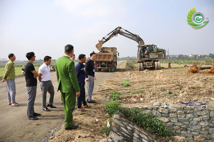 Phú Cát kiên quyết xử lý vi phạm đất đai, xây dựng trái phép tại thôn Đông Hạ- Ảnh 1.