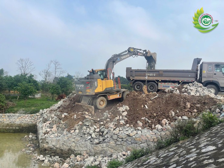 Phú Cát kiên quyết xử lý vi phạm đất đai, xây dựng trái phép tại thôn Đông Hạ- Ảnh 4.