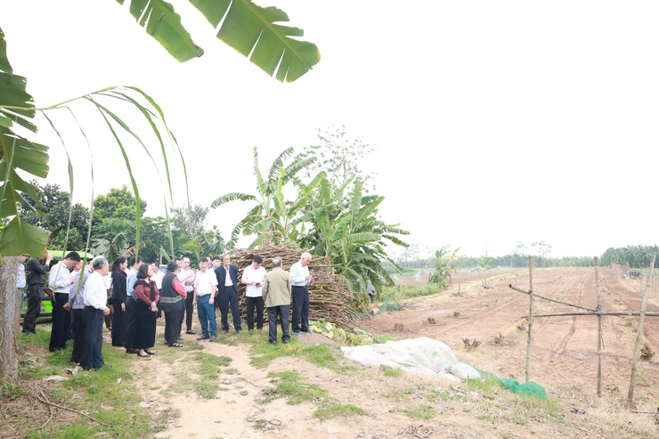 Khảo sát phục hồi Miếu/Đền Thủy Thần tại xã đảo Minh Châu.- Ảnh 1.