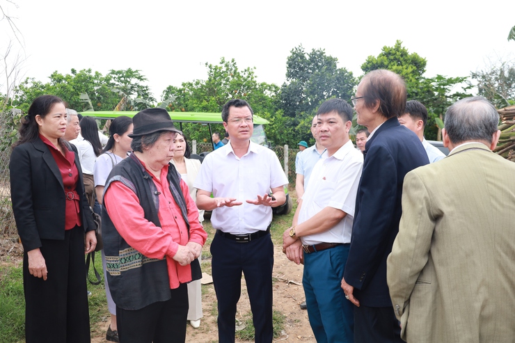 Khảo sát phục hồi Miếu/Đền Thủy Thần tại xã đảo Minh Châu.- Ảnh 2.