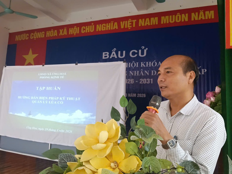 TUYÊN TRUYỀN, HƯỚNG DẪN PHÒNG TRỪ LÚA CỎ TRÊN LÚA TẠI THÔN NAM CHÍNH- Ảnh 1.