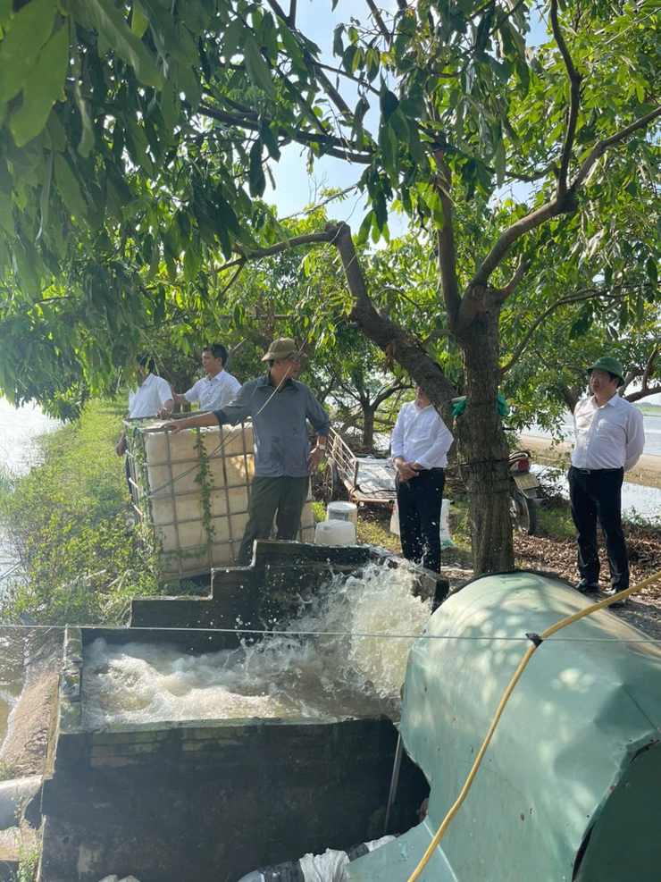 NGƯỜI NÔNG DÂN LÀM GIÀU TỪ MÔ HÌNH CÁ LĂNG: ANH NGUYỄN VĂN THỊNH - ĐIỂN HÌNH TIÊN TIẾN Ở DÂN HÒA.- Ảnh 3.