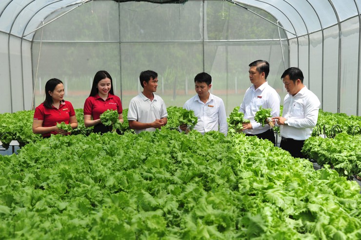 Hà Nội công bố danh mục thủ tục hành chính lĩnh vực Nông nghiệp và Phát triển nông thôn, Giảm nghèo- Ảnh 1.