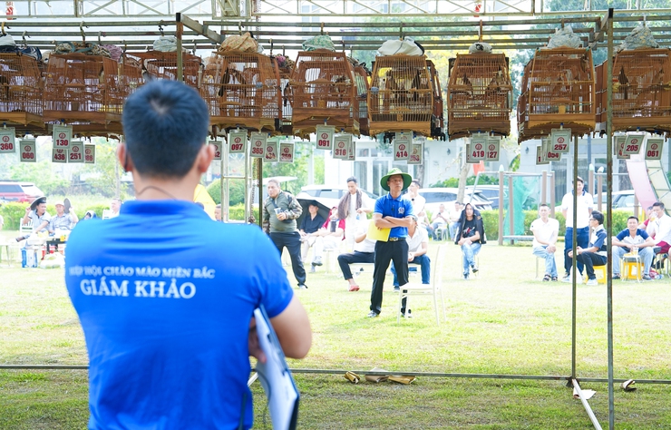SÔI NỔI HỘI THI "SIÊU CÚP CHÀO MÀO HÓT ĐẤU TOÀN MIỀN BẮC 2026" TẠI QUỐC OAI- Ảnh 9.