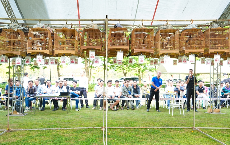 SÔI NỔI HỘI THI "SIÊU CÚP CHÀO MÀO HÓT ĐẤU TOÀN MIỀN BẮC 2026" TẠI QUỐC OAI- Ảnh 10.