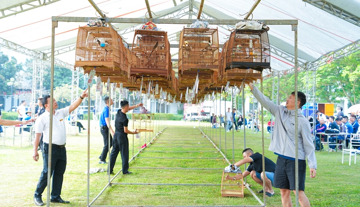 SÔI NỔI HỘI THI "SIÊU CÚP CHÀO MÀO HÓT ĐẤU TOÀN MIỀN BẮC 2026" TẠI QUỐC OAI- Ảnh 6.
