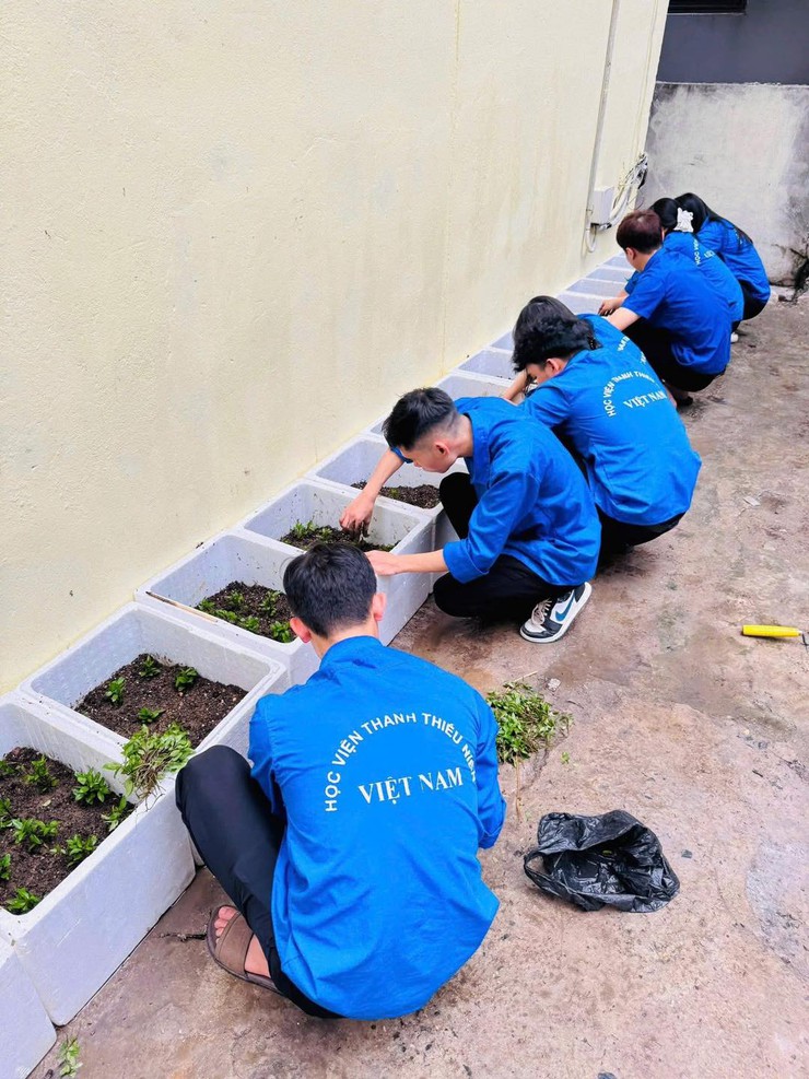 ĐOÀN PHƯỜNG LÁNG KHÁNH THÀNH CÔNG TRÌNH THANH NIÊN “BẢO TỒN RAU HÚNG LÁNG TRUYỀN THỐNG”- Ảnh 7.