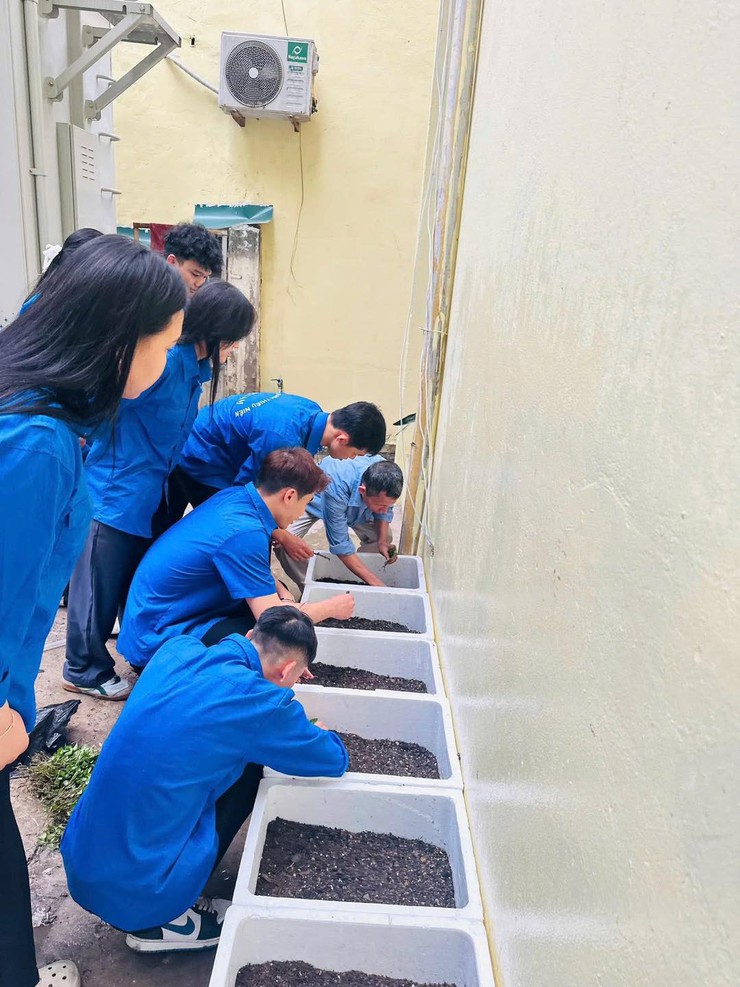 ĐOÀN PHƯỜNG LÁNG KHÁNH THÀNH CÔNG TRÌNH THANH NIÊN “BẢO TỒN RAU HÚNG LÁNG TRUYỀN THỐNG”- Ảnh 5.