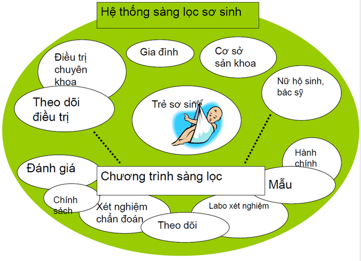 Sàng lọc trước sinh và sơ sinh với những lưu ý cần thiết- Ảnh 1.