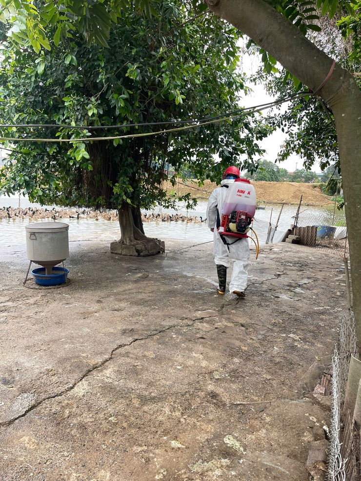  Đại Xuyên thực hiện tốt công tác  phun vệ sinh tiêu độc khử trùng trên địa bàn  xã- Ảnh 4.