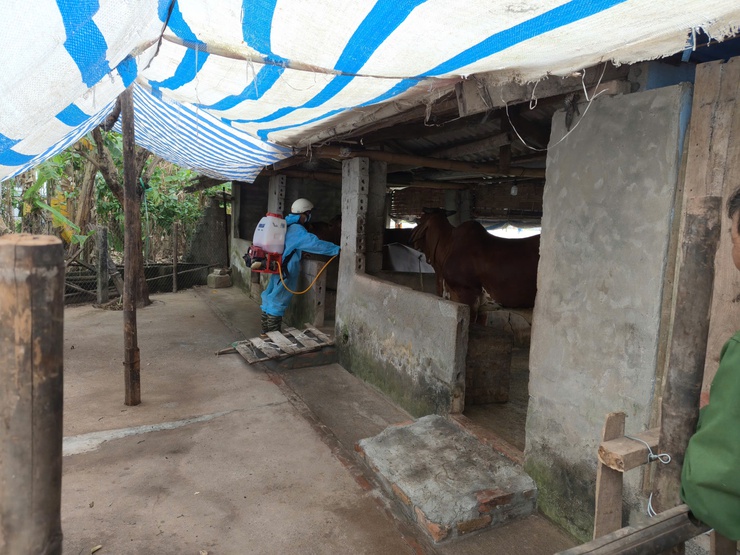  Đại Xuyên thực hiện tốt công tác  phun vệ sinh tiêu độc khử trùng trên địa bàn  xã- Ảnh 1.