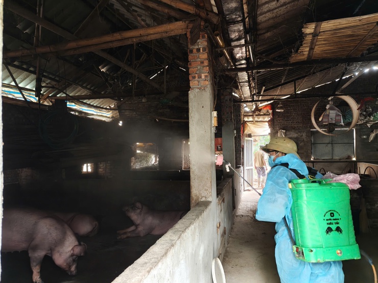  Đại Xuyên thực hiện tốt công tác  phun vệ sinh tiêu độc khử trùng trên địa bàn  xã- Ảnh 3.