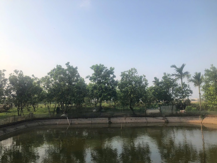 Hội Cựu chiến binh xã Thượng Phúc đang ghi nhận nhiều kết quả tích cực trong việc khai thác và sử dụng hiệu quả nguồn vốn vay từ Ngân hàng Chính sách Xã hội- Ảnh 2.