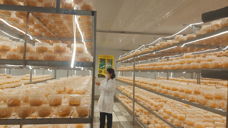 Sở nông nghiệp và môi trường TP Hà Nội: khảo sát nhu cầu phát triển thị trường và đăng ký tham gia các sự kiện tháng 4/2026- Ảnh 1.