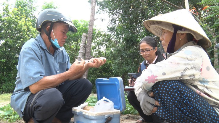 UBND xã Hòa Phú: Tiêm phòng vắc xin cho đàn gia súc, gia cầm trên địa bàn xã Hòa Phú đợt 1 năm 2026- Ảnh 1.