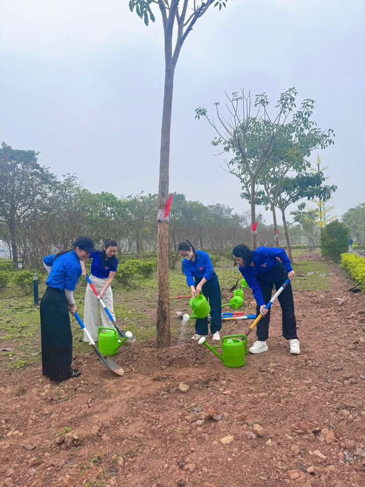 Tuổi trẻ xã Quang Minh lan toả khát vọng cống hiến, dựng xây quê hương- Ảnh 1.