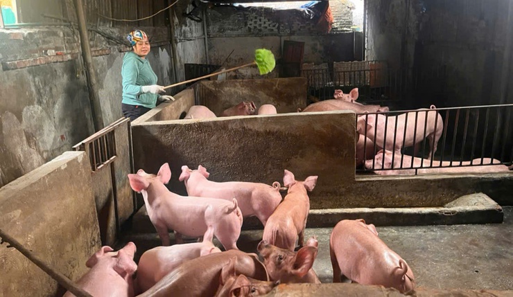 Hiệu quả nguồn vốn vay Ngân hàng CSXH ở Đoài Phương

- Ảnh 1.