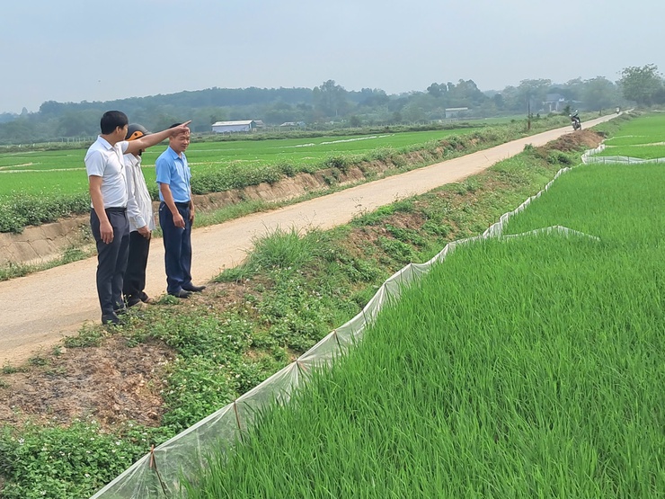 UBND xã Bất Bạt tập trung toàn lực, đảm bảo sản xuất lúa vụ xuân năm 2026 đạt hiệu quả cao.- Ảnh 1.