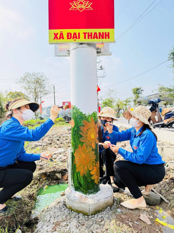 CỘT ĐIỆN NỞ HOA: ĐIỂM SÁNG TRONG THÁNG THANH NIÊN XÃ ĐẠI THANH- Ảnh 13.