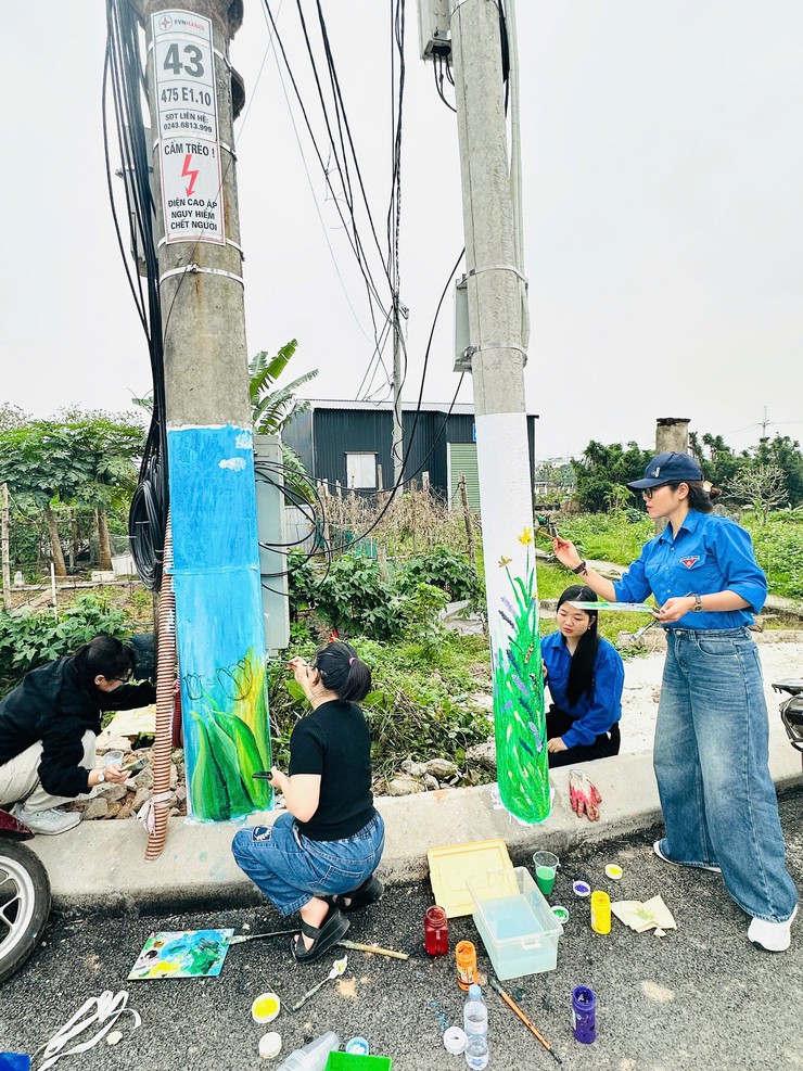 CỘT ĐIỆN NỞ HOA: ĐIỂM SÁNG TRONG THÁNG THANH NIÊN XÃ ĐẠI THANH- Ảnh 3.