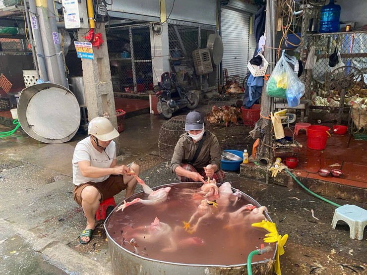 Phú Nghĩa siết chặt quản lý giết mổ, kiểm soát nguồn gốc thực phẩm- Ảnh 2.