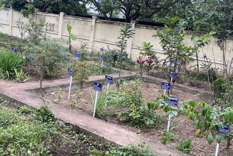 Chi đoàn Trạm Y tế phường Chương Mỹ sôi nổi hoạt động Tháng Thanh niên năm 2026- Ảnh 1.