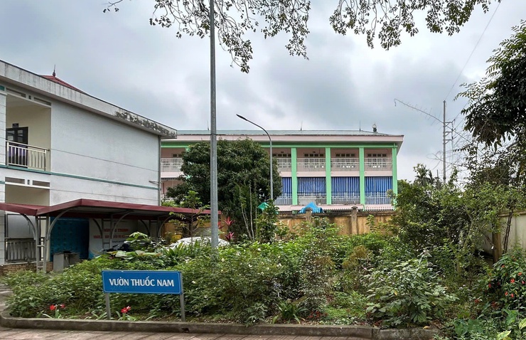 Chi đoàn Trạm Y tế phường Chương Mỹ sôi nổi hoạt động Tháng Thanh niên năm 2026- Ảnh 2.