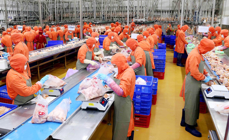 Xuân Mai: Dừng hoạt động các cơ sở giết mổ nhỏ lẻ không đủ điều kiện từ ngày 30/6/2026- Ảnh 1.