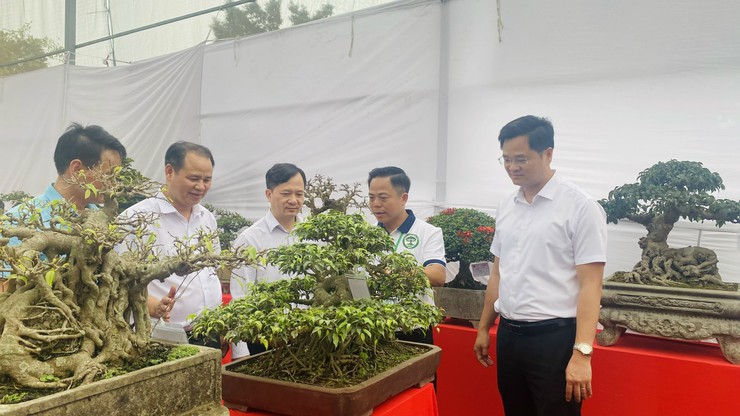 Ra mắt Chi hội Nông dân nghề nghiệp cây cảnh Ngọc Tảo- Ảnh 5.