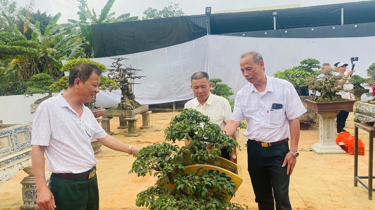 Ra mắt Chi hội Nông dân nghề nghiệp cây cảnh Ngọc Tảo- Ảnh 6.