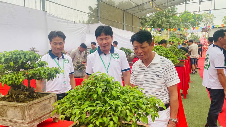 Ra mắt Chi hội Nông dân nghề nghiệp cây cảnh Ngọc Tảo- Ảnh 7.