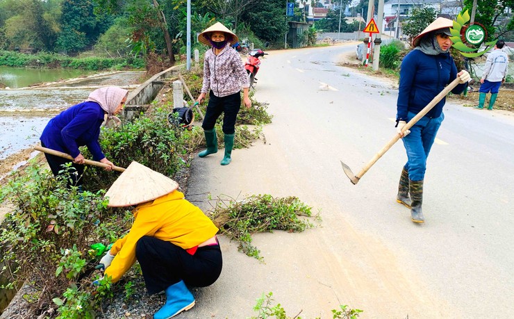 Phú Cát phát động phong trào toàn dân bảo vệ môi trường, ký cam kết với các thôn trên địa bàn- Ảnh 4.
