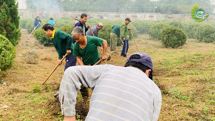Phú Cát phát động phong trào toàn dân bảo vệ môi trường, ký cam kết với các thôn trên địa bàn- Ảnh 7.