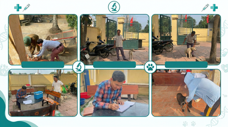 Hà Nội ghi nhận 2 ổ dịch dại trên chó tại xã Hòa Lạc và Hạ Bằng- Ảnh 1.