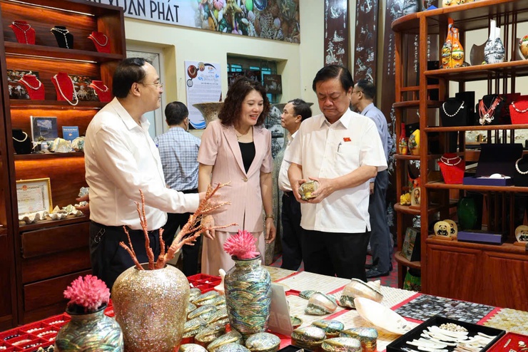 Đồng chí Phó Chủ tịch Quốc hội Lê Minh Hoan về thăm, làm việc tại xã Chuyên Mỹ- Ảnh 2.