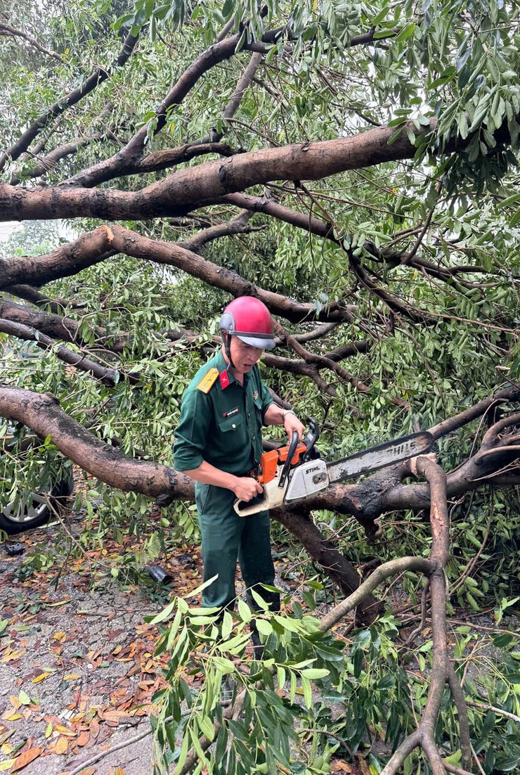Phường Đông Ngạc khắc phục hậu quả sau cơn mưa giông lốc đêm ngày 29/3, rạng sáng ngày 30/3/2026.- Ảnh 1.