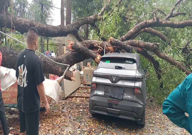 Phường Đông Ngạc khắc phục hậu quả sau cơn mưa giông lốc đêm ngày 29/3, rạng sáng ngày 30/3/2026.- Ảnh 2.