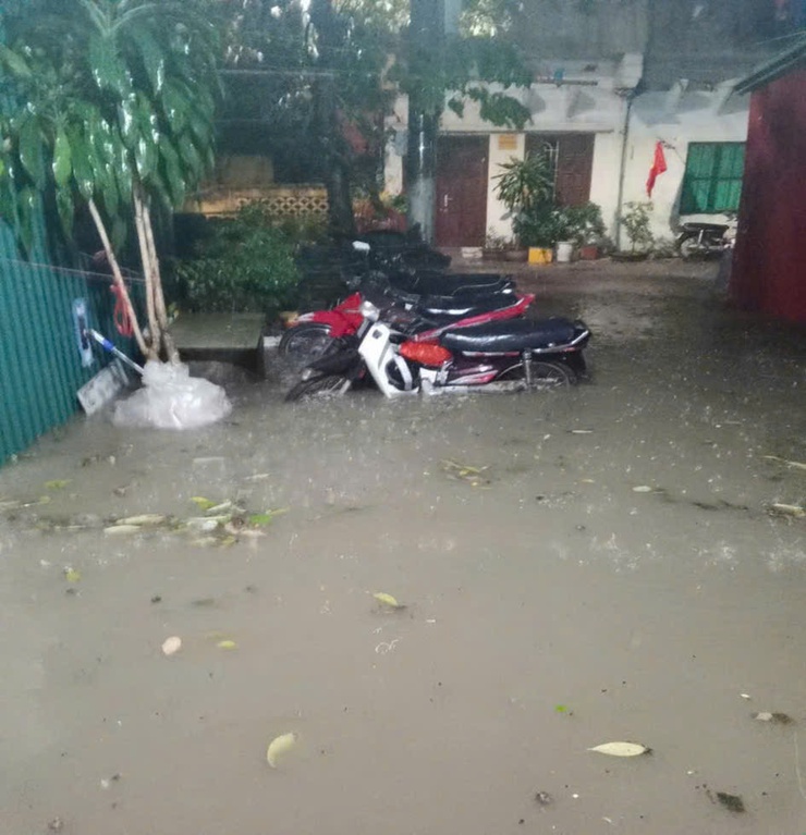 Phường Đông Ngạc khắc phục hậu quả sau cơn mưa giông lốc đêm ngày 29/3, rạng sáng ngày 30/3/2026.- Ảnh 6.