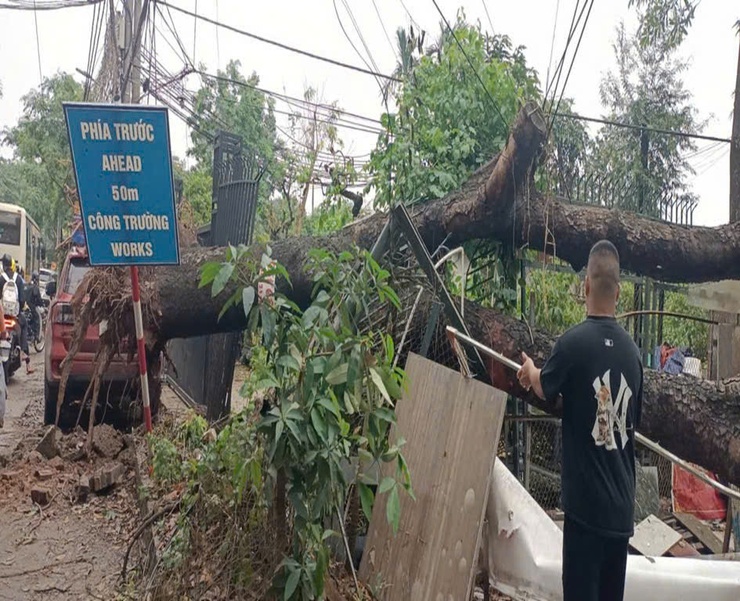 Phường Đông Ngạc khắc phục hậu quả sau cơn mưa giông lốc đêm ngày 29/3, rạng sáng ngày 30/3/2026.- Ảnh 3.