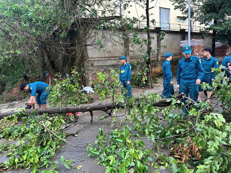 Phường Đông Ngạc khắc phục hậu quả sau cơn mưa giông lốc đêm ngày 29/3, rạng sáng ngày 30/3/2026.- Ảnh 4.